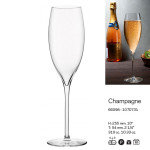 TERROIR-CJ. 6 CALICES FLUTE 310CC