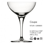 PRIMEUR-CJ.6 TA�AS CHAMPAGNE 240CC