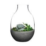 EDEN-JARRA 232MM
