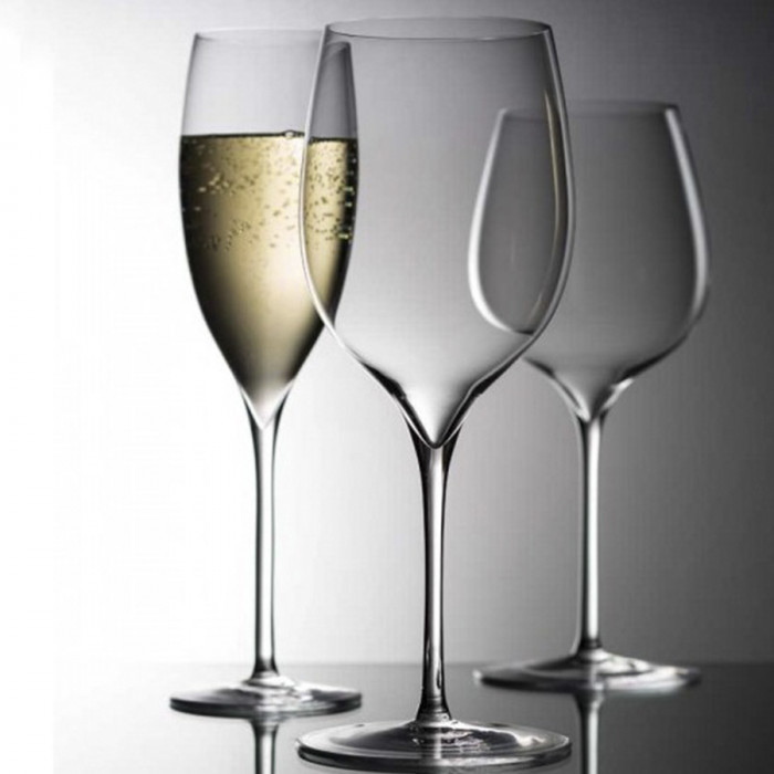TERROIR-CJ.6 CALICES 430CC