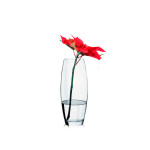 PA BOTANICA-JARRA 260MM 43966