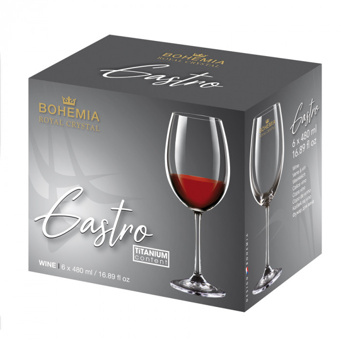 GASTRO-CONJ.6 CALICES 480