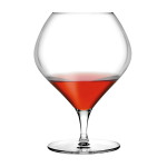 FANTASY-CJ.6 CALICES COGNAC 870CC