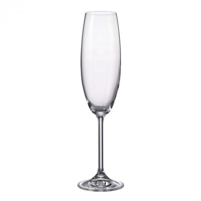 GASTRO-CONJ.6 FLUTES 230