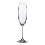 GASTRO-CONJ.6 FLUTES 230