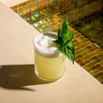 RIO -CJ.6 COPOS LOWBALL 30CL